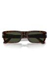 Persol Adrien 55mm Rectangular Sunglasses In Havana