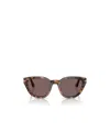 Persol Oval Frame Sunglasses In Brown