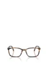 Persol Eyeglasses In Brown