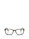 Persol Eyeglasses In Brown