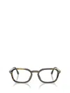 Persol Eyeglasses In Brown