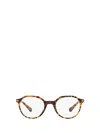Persol Eyeglasses In Brown