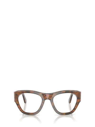 Persol Eyeglasses In Multi