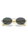 Persol Ida 55mm Oval Sunglasses In Gold