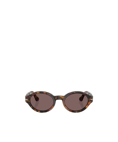 Persol Oval Frame Sunglasses In Brown