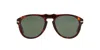 PERSOL OVAL FRAME SUNGLASSES