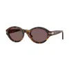 Persol Loris Po3378s 105253 In Brown