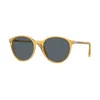 Persol Po3171s