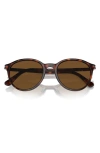 Persol Phantos 56mm Polarized Round Sunglasses In Metallic