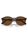 Persol Phantos 56mm Polarized Round Sunglasses In Havana