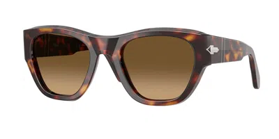 Persol Po0054s Polarized 24/m2 Occhiali Da Sole Tartarugatishell Per Uomo In Brown