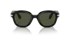 Persol Po0060s In Green