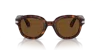 Persol Po0060s In Polarized Brown