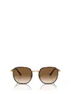 Persol Po1015sj In Gold Havana