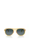 Persol Miele Acetate Sunglasses In Miele