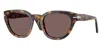 Persol Po3379s In Black