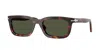 Persol 53mm Rectangular Sunglasses In Brown