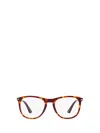 Persol Tortoiseshell Square-frame Glasses In 24