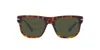 Persol Squared