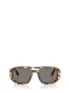 Persol Sunglasses In Brown