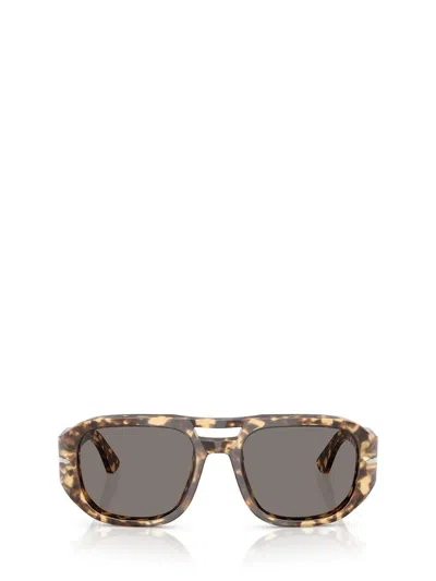 Persol Sunglasses In Brown