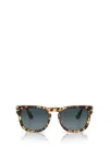 Persol Womens Brown Po3333s Elio Square-frame Acetate Sunglasses In Beige Tortoise
