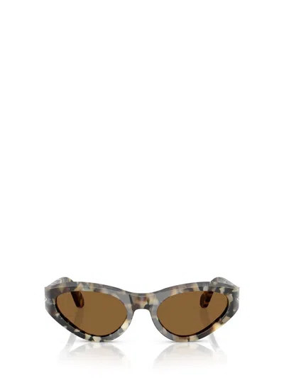 Persol Sunglasses In Brown