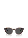 Persol Sunglasses In Brown