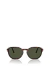 Persol Sunglasses In Green