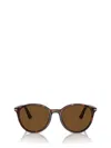 Persol Womens Brown Po3350s Round-frame Acetate Sunglasses In Brown