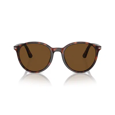 Persol Sunglasses In Havana/marrone