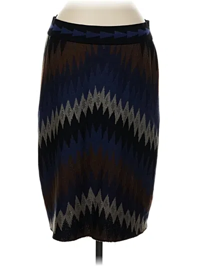 Pre-owned Peruvian Connection Casual Skirt In Blue