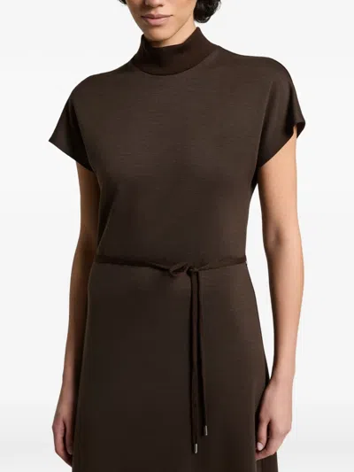 Peserico Belted High-neck Midi Dress In Brown