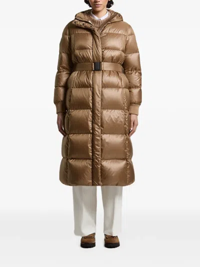 Peserico Belted Hooded Coat In Brown