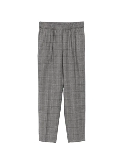 Peserico Check Elasticated-waist Trousers In Gray