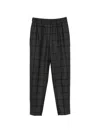 Peserico Check-pattern Trousers In Gray