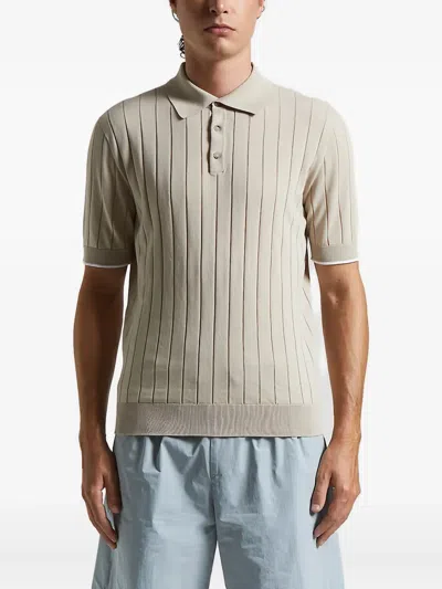 Peserico Cotton Polo Shirt In Neutral