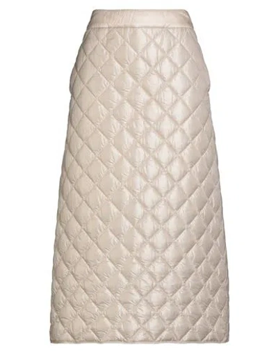 Peserico Easy Woman Midi Skirt Beige Size 6 Nylon In Multi