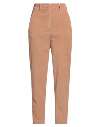 Peserico Easy Woman Pants Camel Size 6 Cotton, Elastane In Brown
