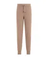 Peserico Elastic-waistband Track Pants In Brown