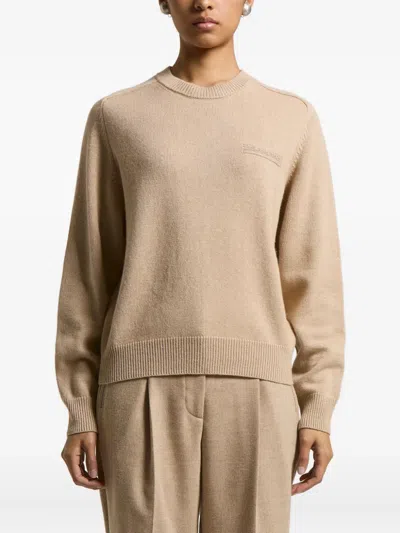 Peserico Embroidered-detail Crew-neck Sweater In Brown