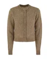 Peserico Tricot Cardigan With Micro-sequins In Brown