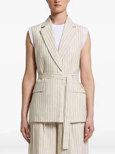 Peserico Pinstripe-pattern Belted Jacket In Multi