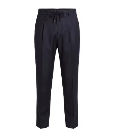 Peserico Pleated Casual Trousers In Blue