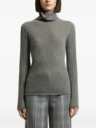 Peserico Ribbed Roll-neck Sweater In Animal Print