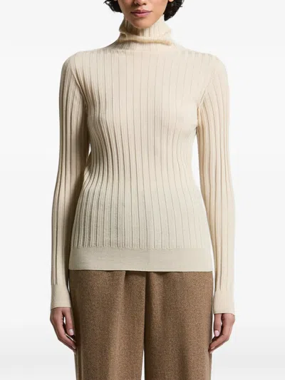 Peserico Ribbed-knit Roll-neck Sweater In Neutral