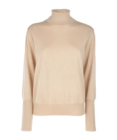 Peserico Roll-neck Glitter-details Pullover In Brown