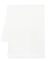 Peserico Metallic-threading Detailed Scarf