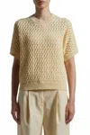 Peserico Short Sleeve Knit Cotton Sweater In Amber/beige In Multi