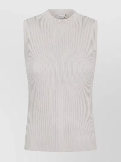 Peserico Sleeveless High Neck Ribbed Knit Top In Neutral